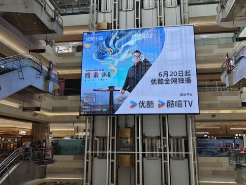 寧靜在喧囂 從《圓桌派》看時(shí)代稀缺的“聊愈力”